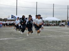 F組　紫